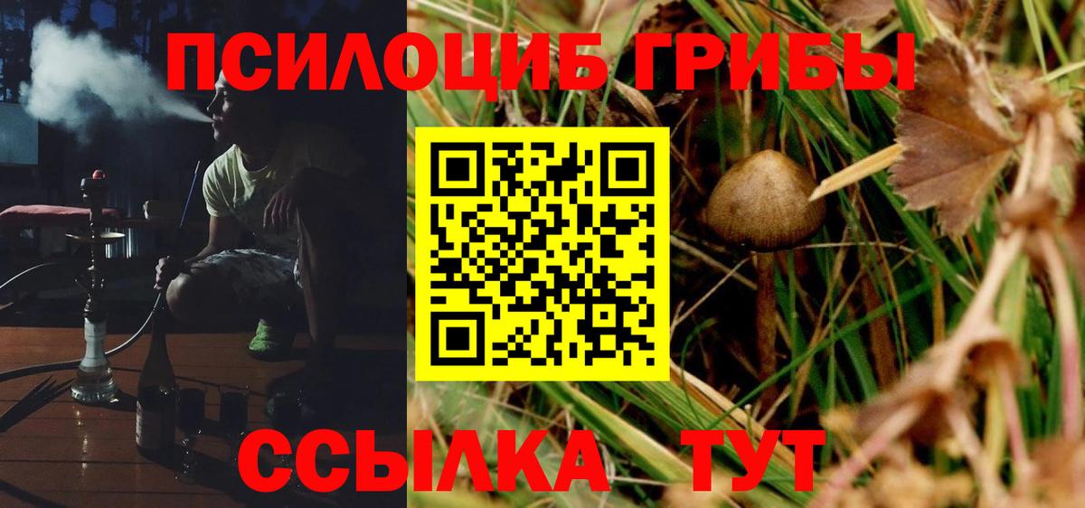 Псилоцибиновые грибы GOLDEN TEACHER Вязники